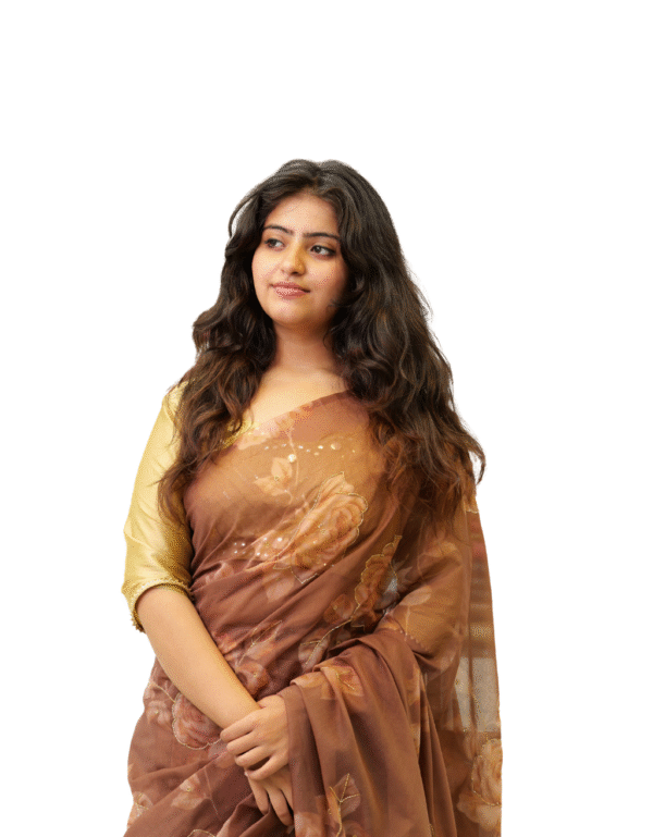 Brown Colour Georgette Banarasi Saree