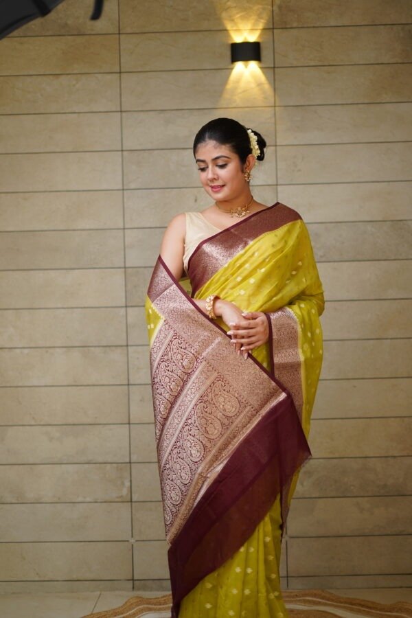 Green Colour Georgette Banarasi Saree