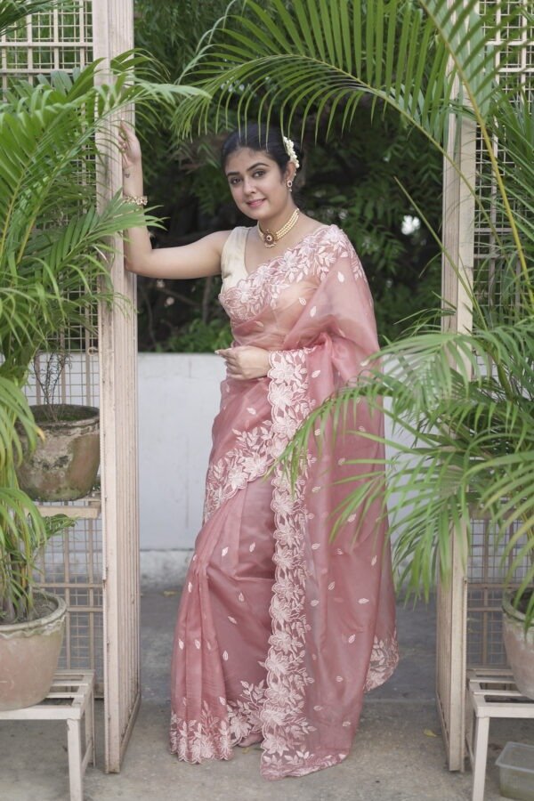 Peach Colour Organaza Banarasi Saree